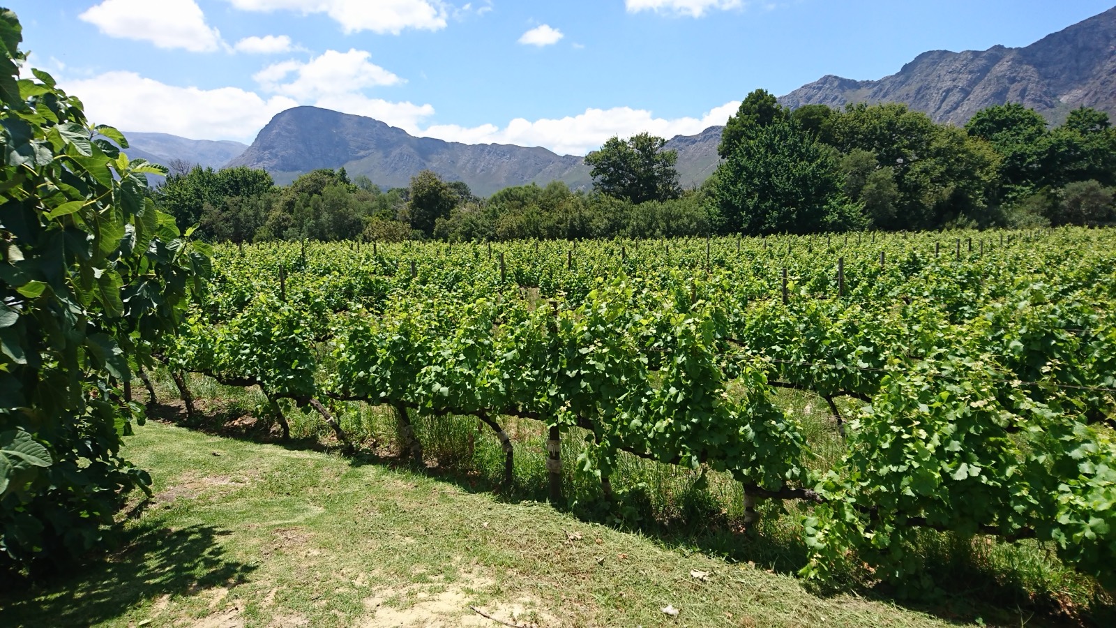 Organic farmland inspected by CERES South Africa